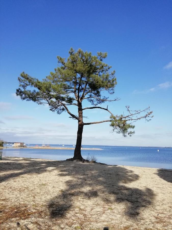 Appartamento Les Grands Pins Carcans Esterno foto